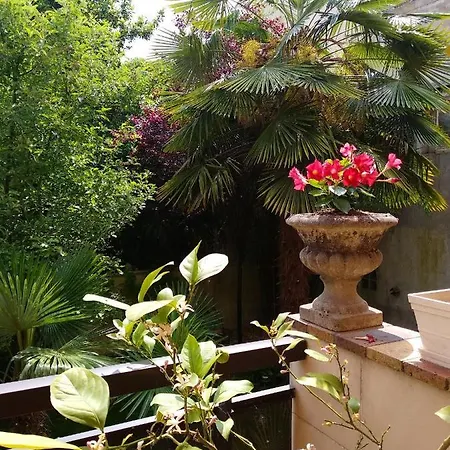 A 30m² Terrasse Et Jardin * Alfortville
